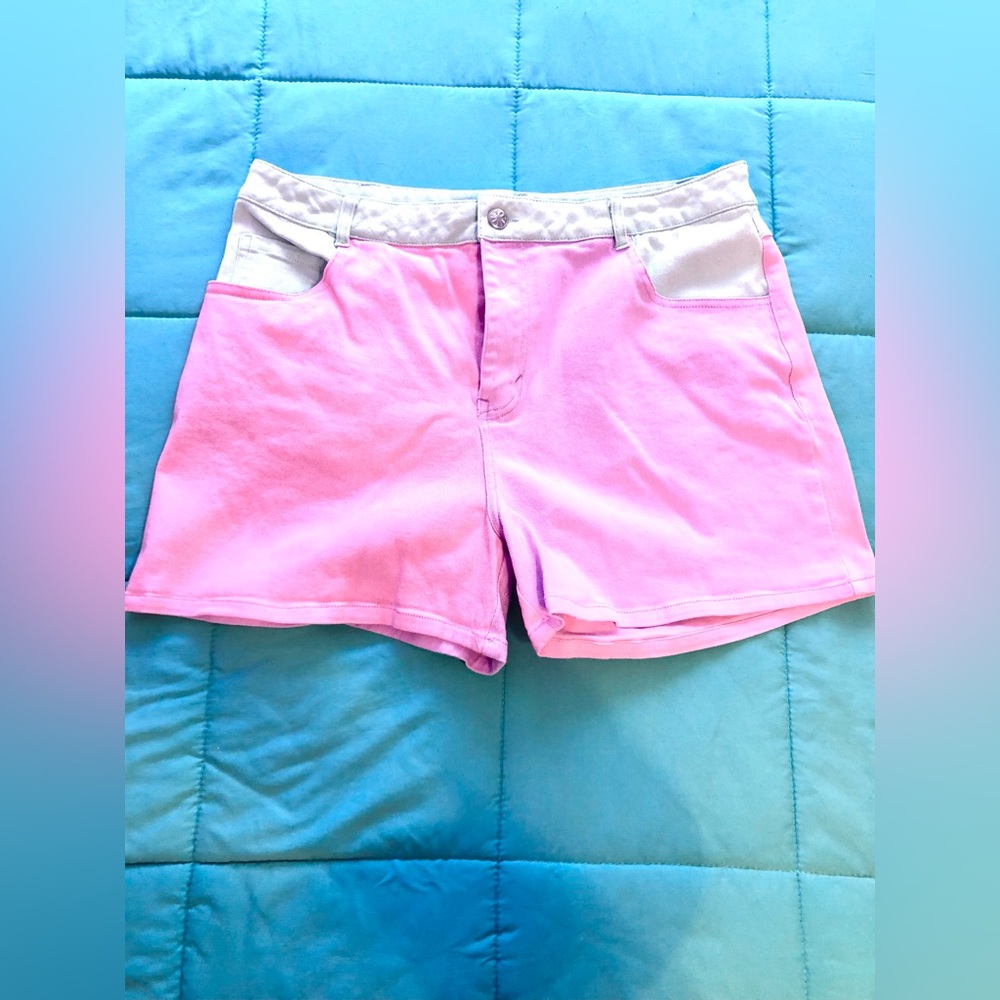 Dolls Kill Delias Pastel shorts. 1X.